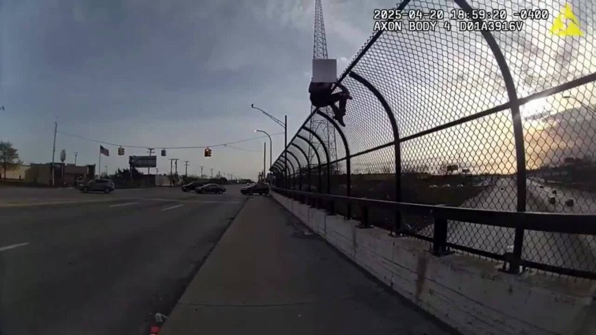 BWC: Mich. officers pull man in crisis from safety fence over highway