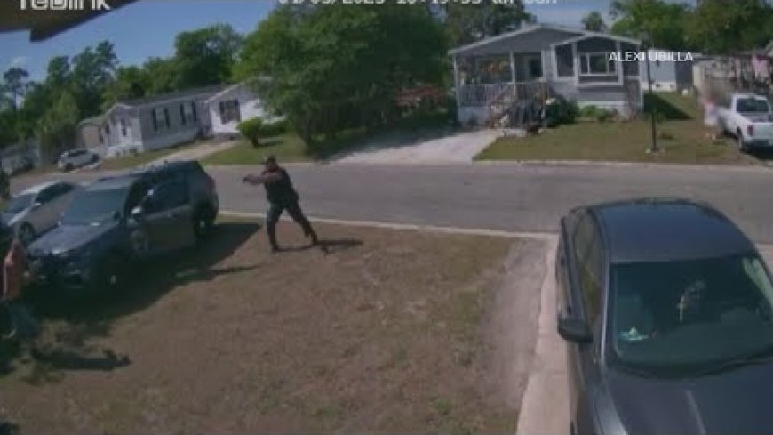 Man jumping on hood of squad car killed when he charges at Fla. deputy