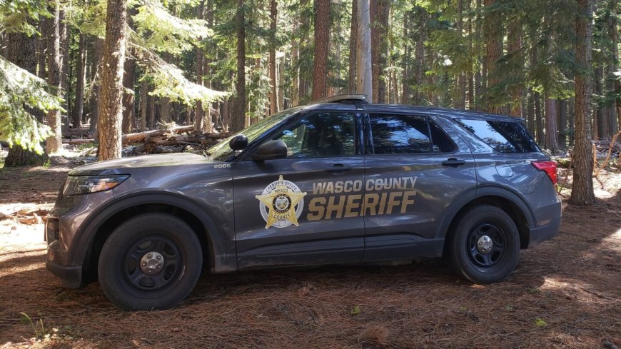 Arbitrator orders reinstatement of Ore. probation officer fired over Nazi salutes