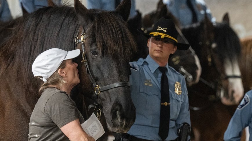 Police horse 'Teak' retires from last mounted police unit in Minnesota
