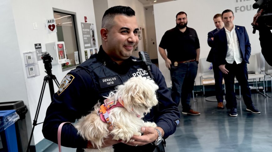 Little Maltese dog plucked from East River adopted by NYPD savior