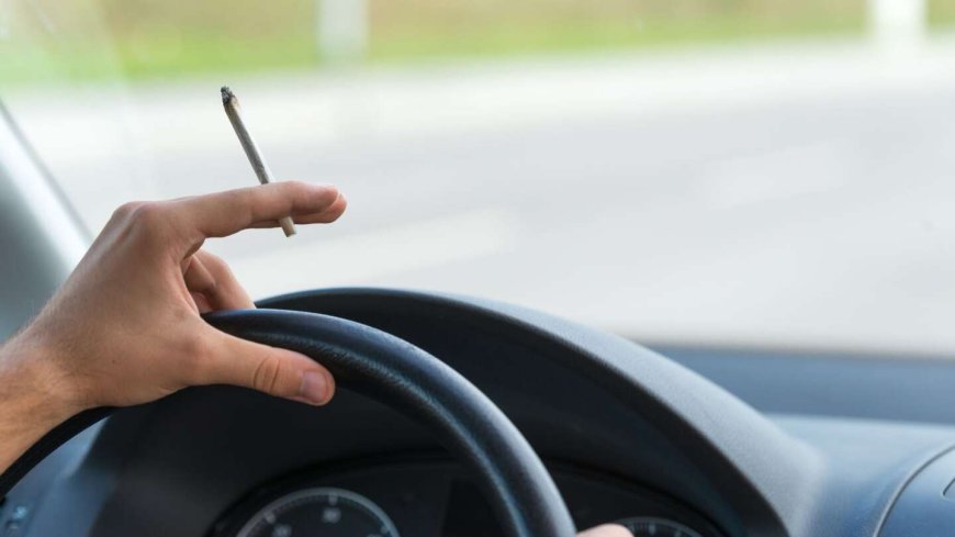 Smell of weed alone doesn’t justify police search or arrest, N.J. appeals court rules
