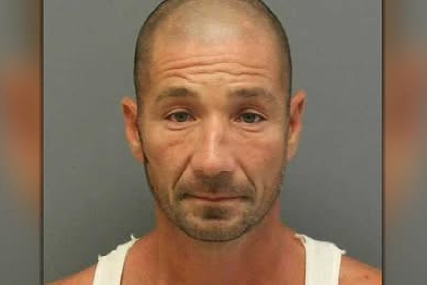Man who BEAT/ROBBED AIRMAN &amp; Pushed Girl Friend from MOVING VEHICLE Arrested &amp; Released (again)