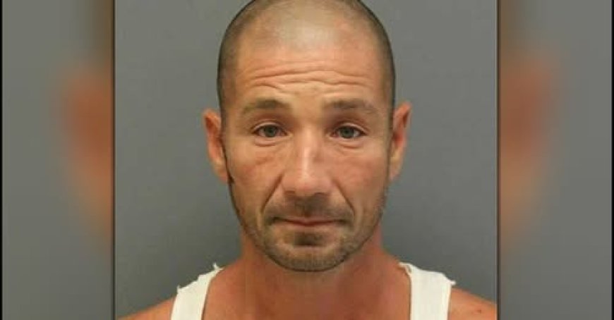 Man who BEAT/ROBBED AIRMAN & Pushed Girl Friend from MOVING VEHICLE Arrested & Released (again)